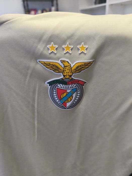 Vendo t-shirt de treino do Benfica (portes incluídos)