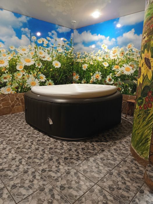 Подобова оренда будинку для відпочинку. Світловодськ.