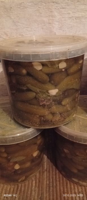 Продам солёный огурец