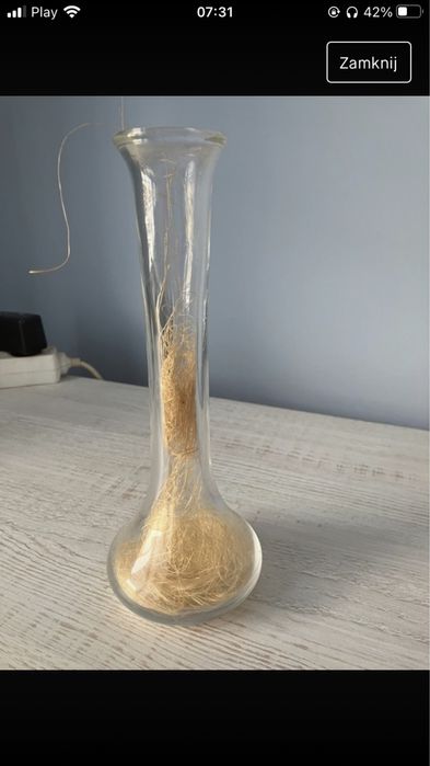 Sprzedam wazon widoczny