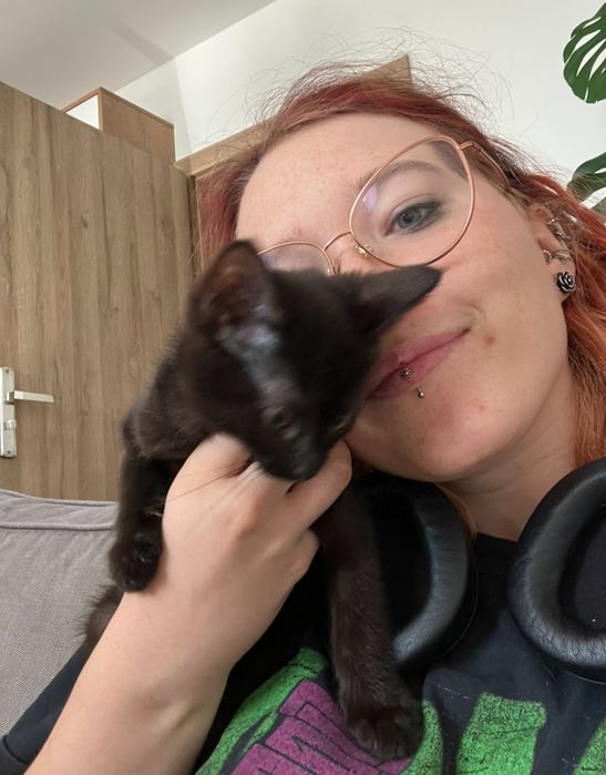 Matematyka i Fizyka | Matura