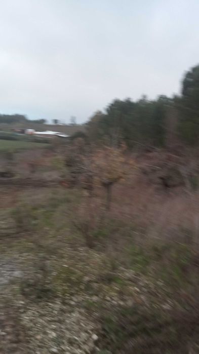 Quinta com casa e terreno