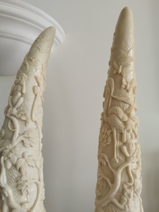 Dentes de elefante (imitação) em marfinite em base de madeira