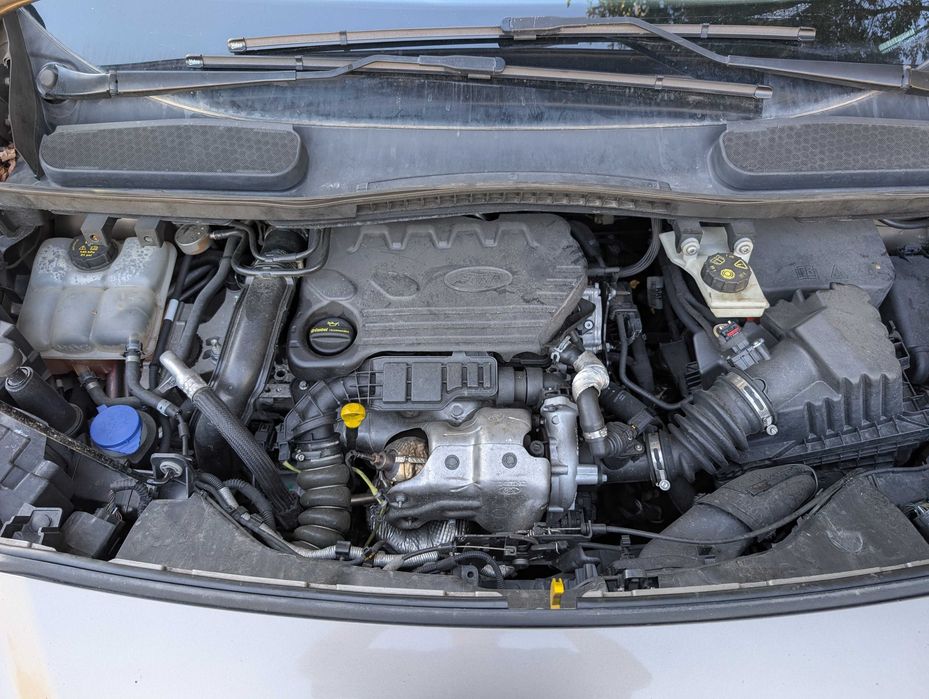 Ford Transit Connect 2019 1.5 EcoBlue 120 Cv