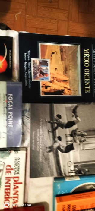 Diversos livros e enciclopédia
