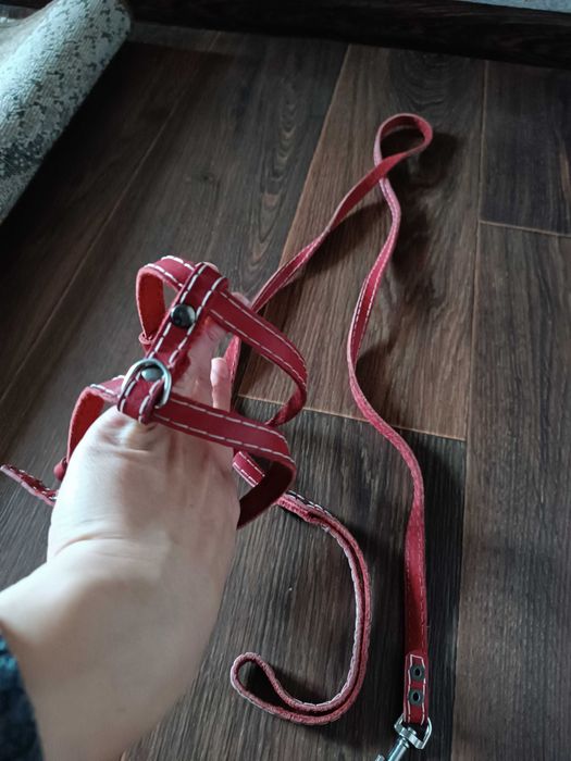 Шлейка та повідок для песиків, шкіряний