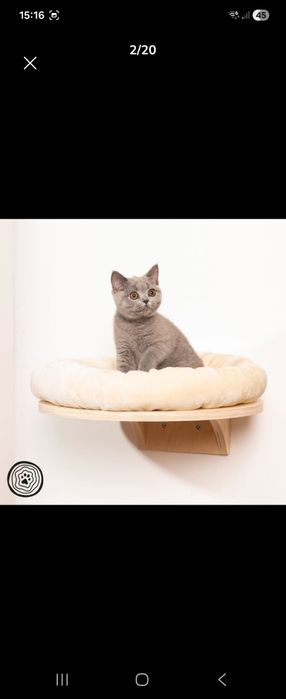 Camas e pontes de parede para gatos