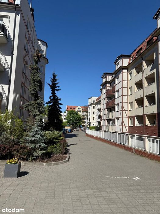 Ciche i komfortowe 3-pokojowe mieszkanie na Jeżycach