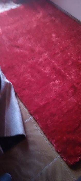 Carpete de sala 60€