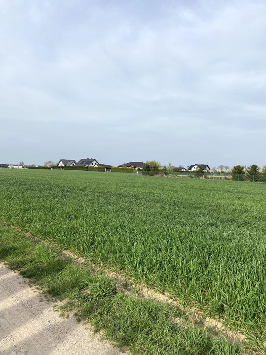 Duża działka w atrakcyjnej lokalizacji