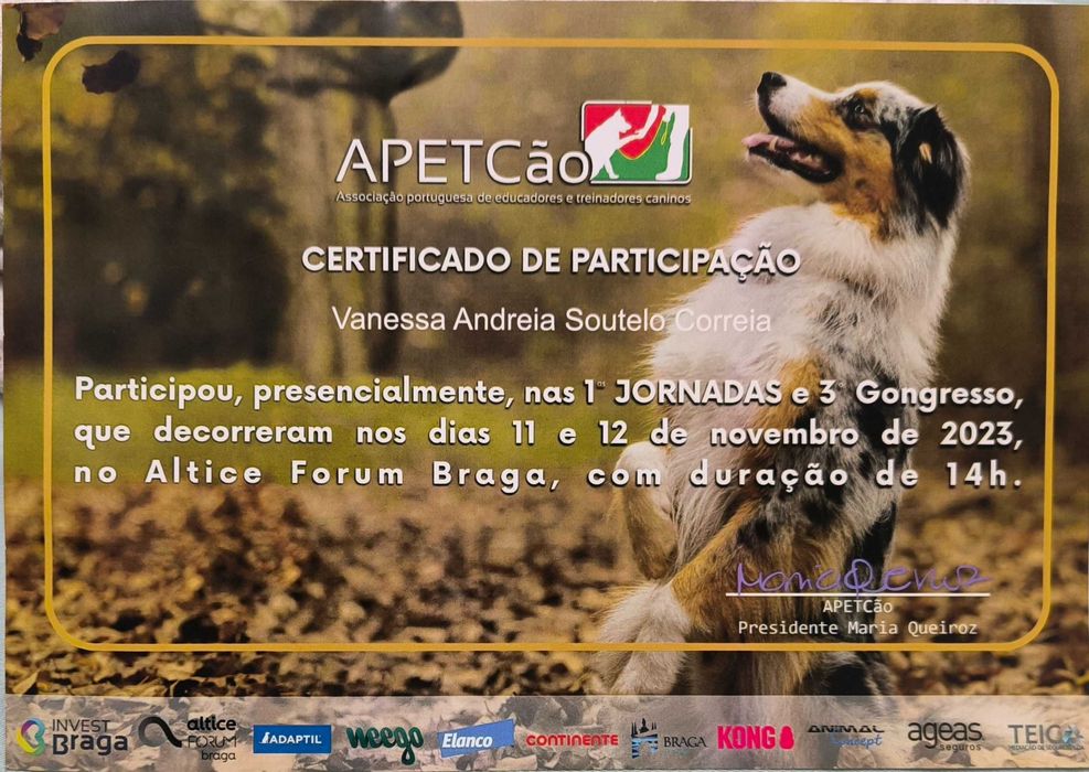 Petsitting/ estadia familiar/ treino canino