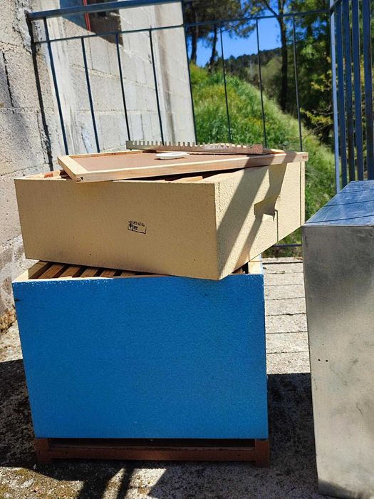 Colmeias Lusitanas Novas