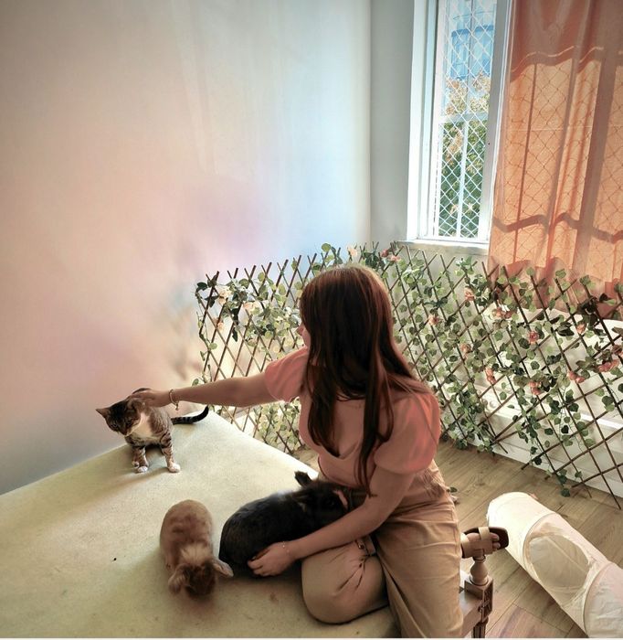 Passeios de animais, cuidados ao domicílio