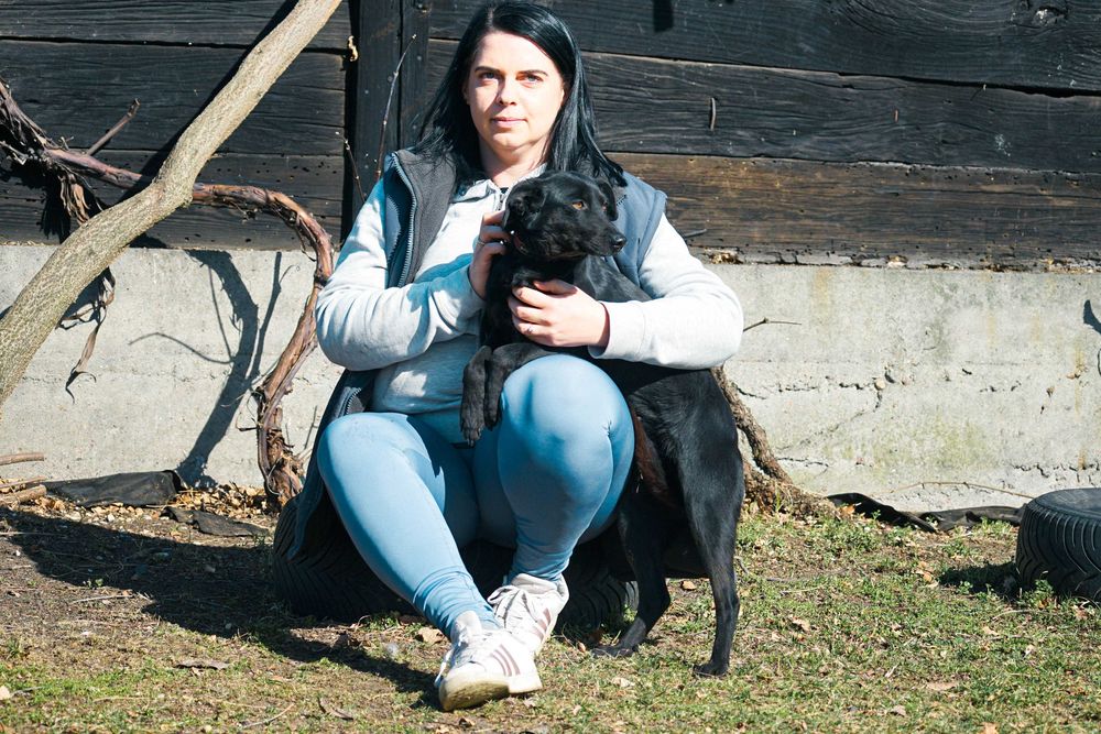 Luiza - niewielka sunia szuka domu