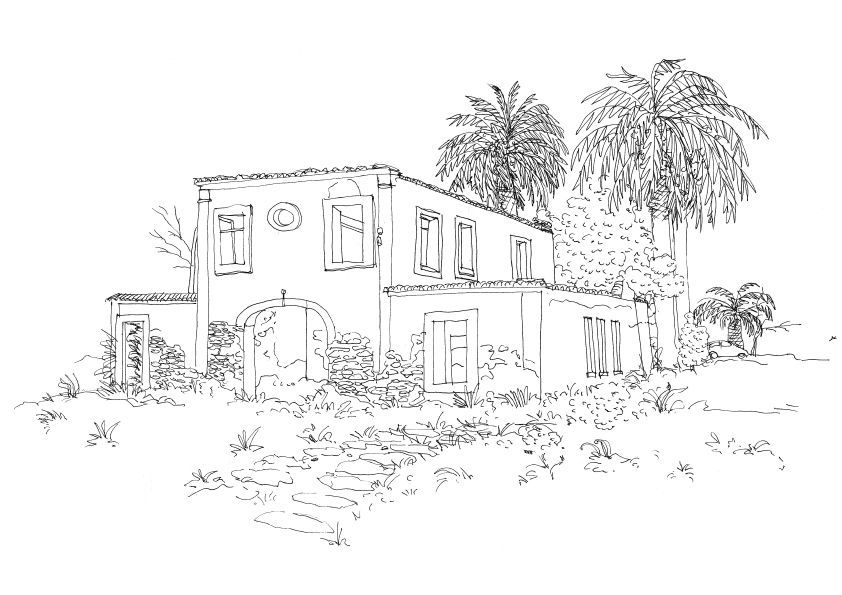 Retratos de animais domésticos e outros