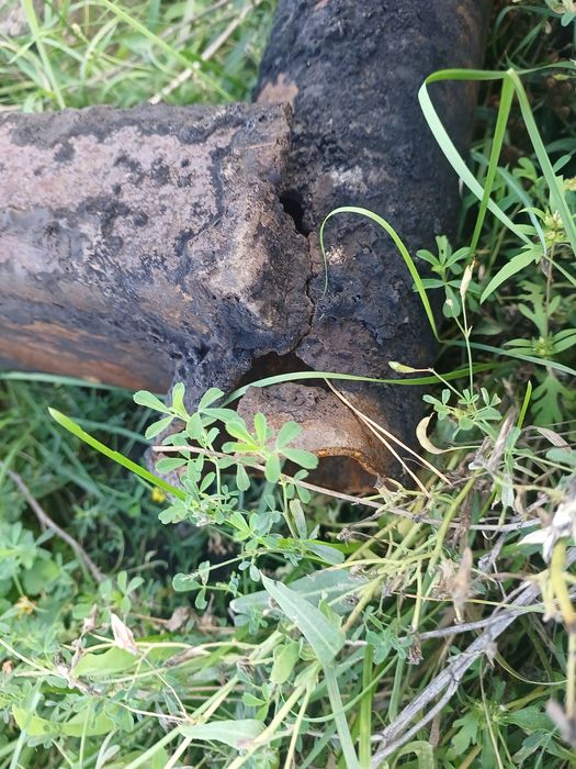 Продам раму і 2 платформи 2ПТС-4