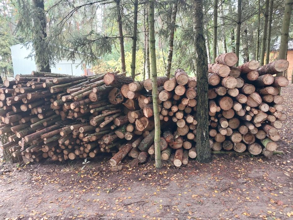 Drewno opałowe - sosna, świerk