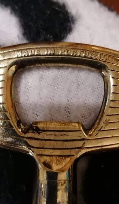 Saca rolhas colecção