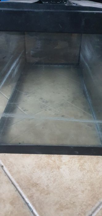 Aquário para peixes ou repteis