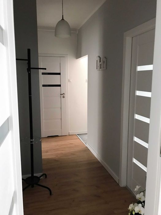 Mieszkanie 2 pokoje Poznań Jeżyce Centrum miejsce postojowe gratis - Widok 4