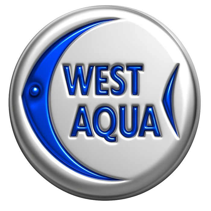 Оптовий продаж акваріумної риби.