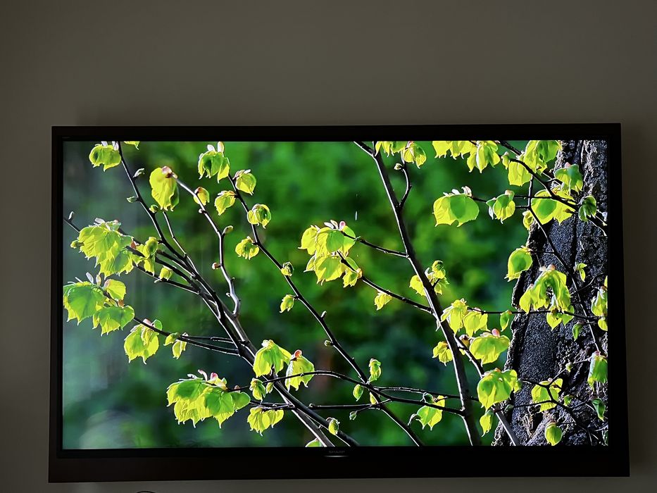 Telewizor Sharp 65”