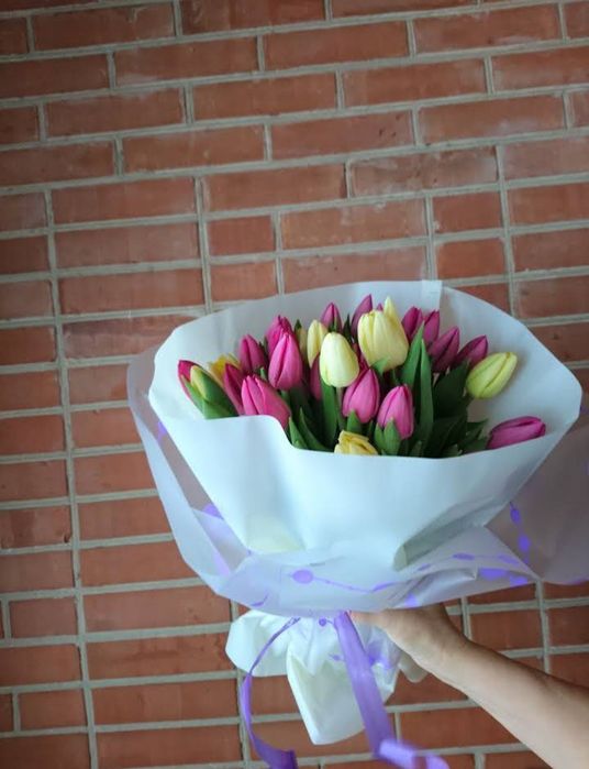 Тюльпан зріз опт 8 березня
