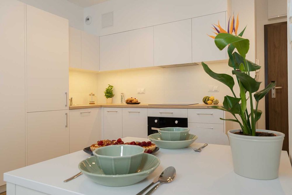 Apartament 2 - pokoje, 38 m²| Bezpośrednio| Nowe| Przyjazne zwierzętom – pohled 3