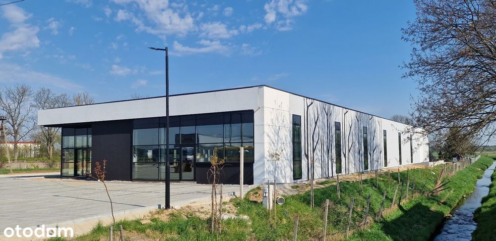Lokal handlowy na wynajem 1000m2 Nowogrodzka