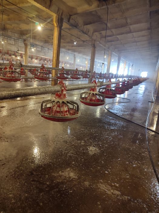 Mycie Budynków Gospodarczych! Czytaj Opis...