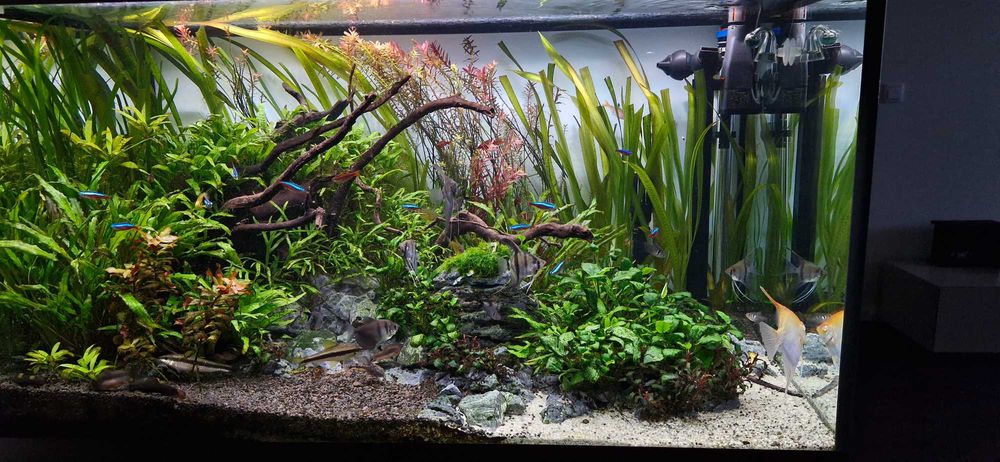 Luminarias (2 calhas) Fluval Plant 3.0 bluetooth 90cm