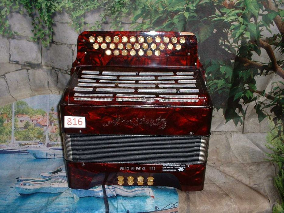 Concertina a venda n.816
