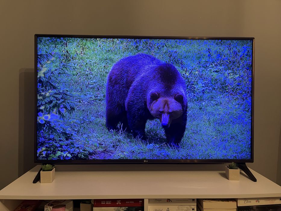 Telewizor LG 49” Full HD Smart TV Netflix Youtube ITD