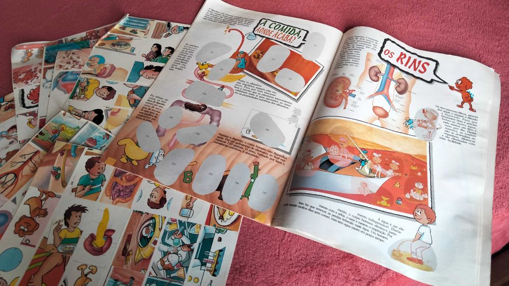 Corpo humano 
Caderneta e 180 cromos para colocar