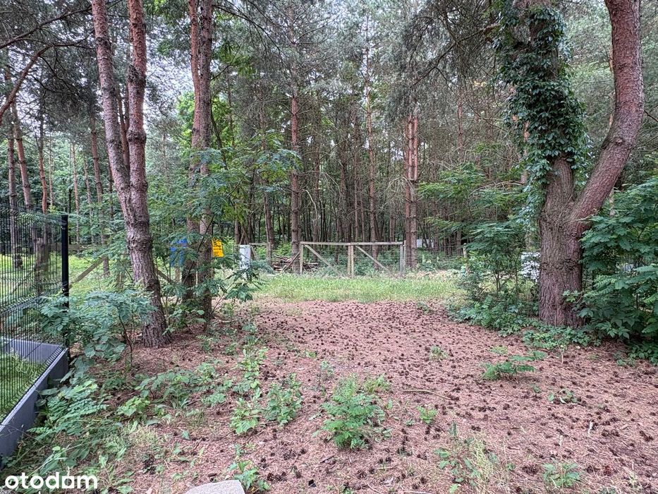 Działka budowlana 1505 m² , ogrodzona, prąd, Wężyk, gmina Grodzisk Maz