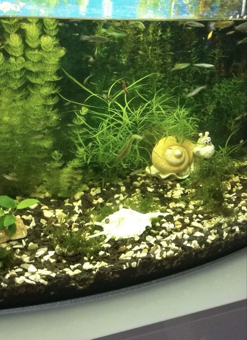 Продам акваріум100л