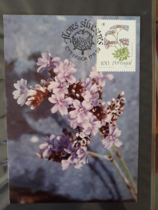 4 Inteiro postal 1989