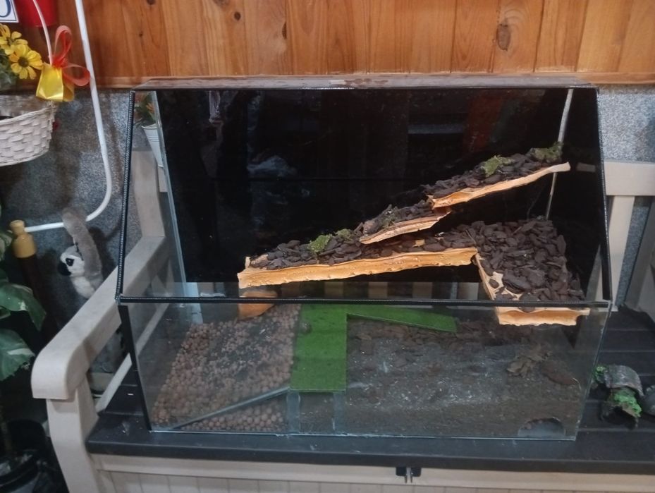 Aqua Terrário para despachar