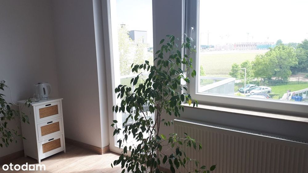 Kawalerka do wynajęcia, Krzyki/Wojszyce. Nowy blok. Od zaraz.