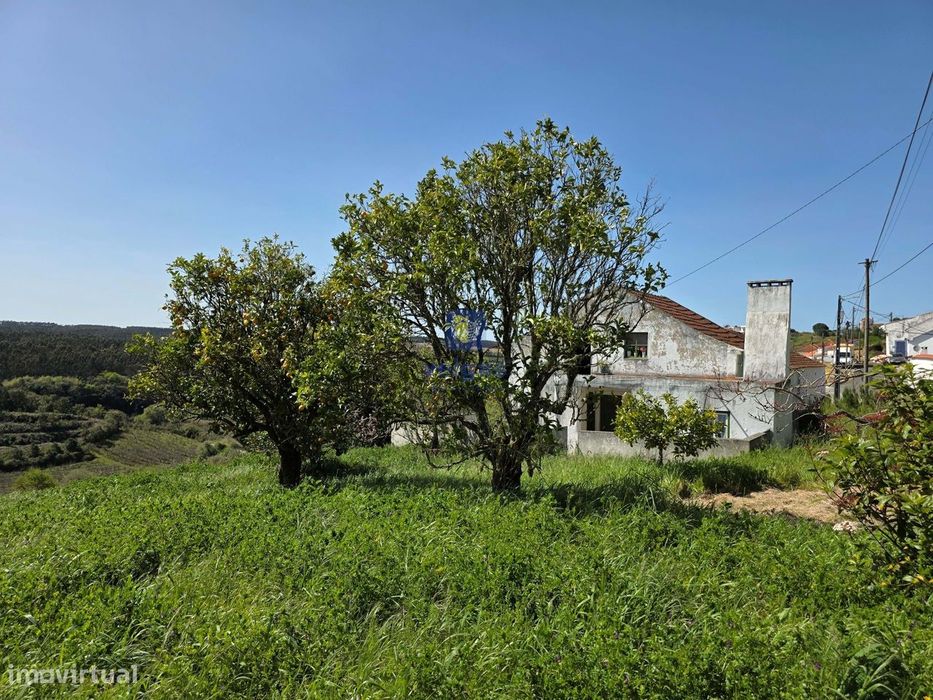 Quintinha com 12.484m2 de Terreno e 260m2 de área bruta. Possibilidad