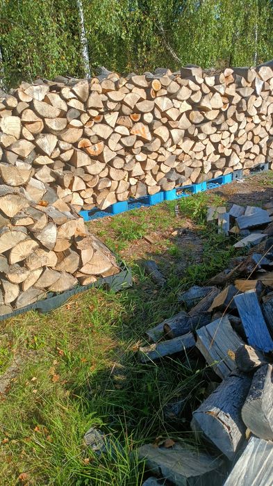 Drzewo Kominkowe i opałowe