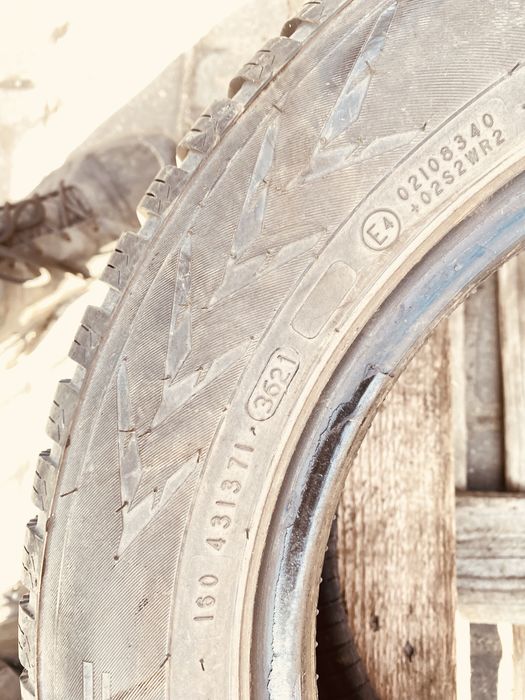 175/65r14  nokian opona wielosezonowa rok 2021 2sz