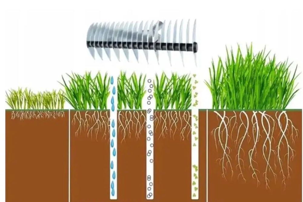 Граблі-ареаторні для газону Strend Pro 36см Словачина (без держака)