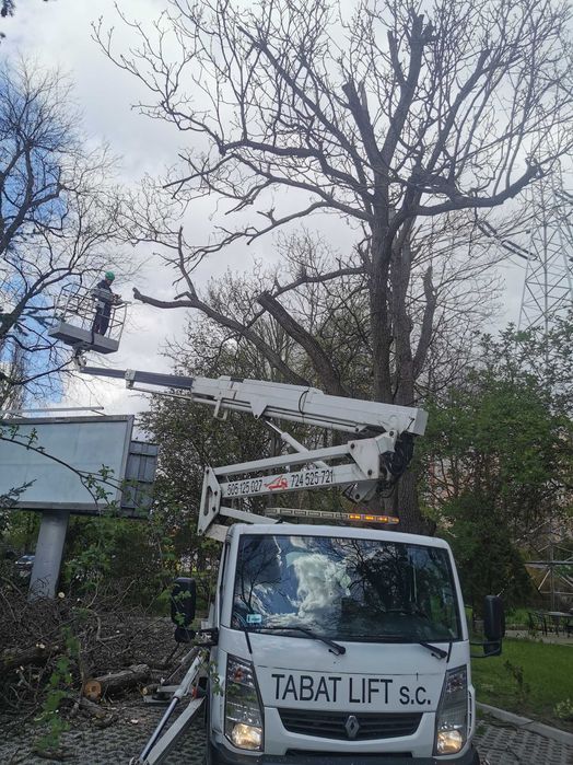 Usługi Podnośnikiem Koszowym