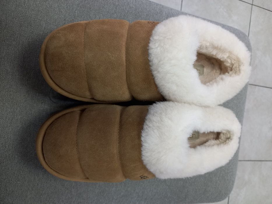 Уги жіночі UGG Tazzlita Chestnut(Оригінал)