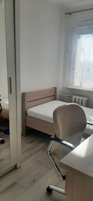 Pokój do wynajęcia w centrum Zielonej Góry