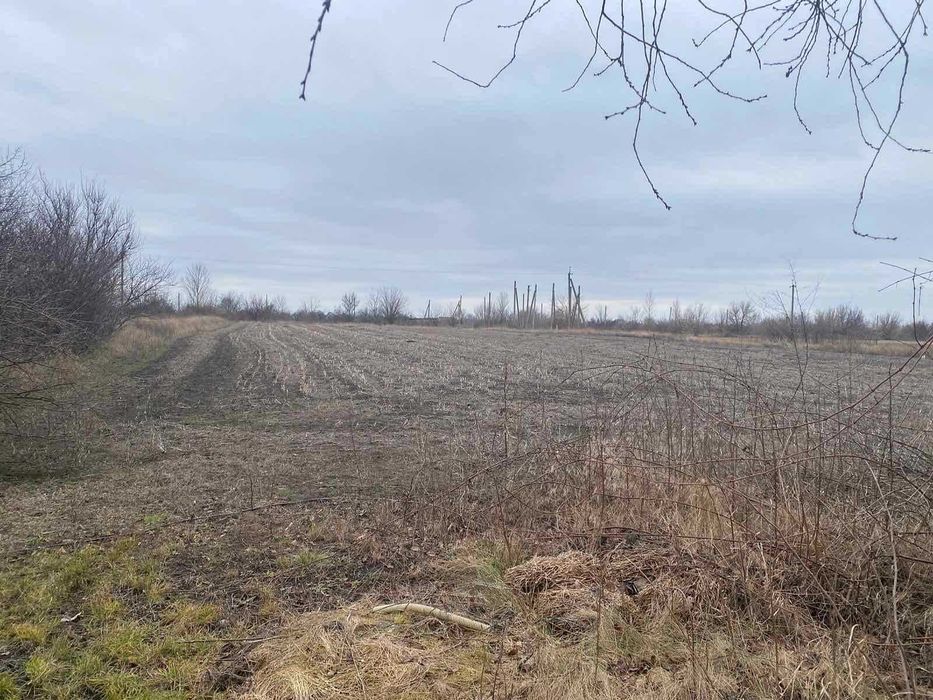 Продаж Будинку з ділянкою 60 соток село Пінчуки ОСГ+Забудова