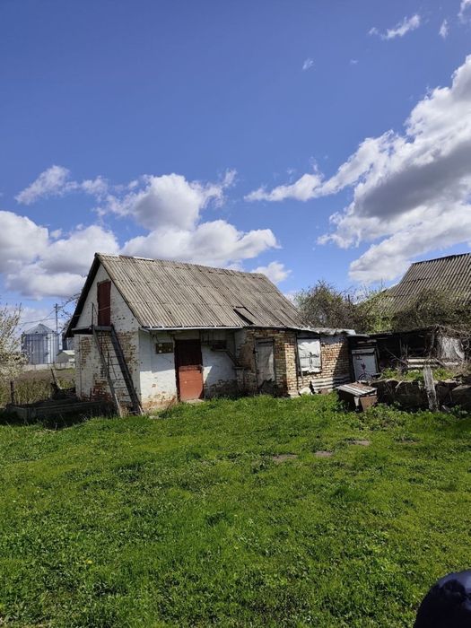 Продаж будинку в селі Острів,Білоцерківський район