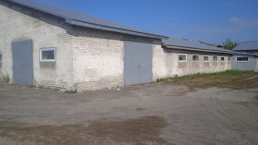 Продається молочна ферма