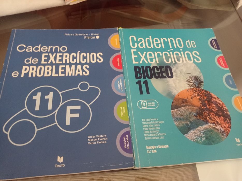 Livros exercícios 11 ano